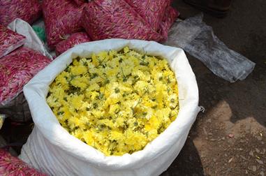 Flower-Market, Madurai,_DSC_8191_H600